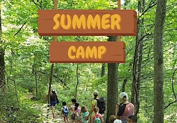 Rewild summer camp