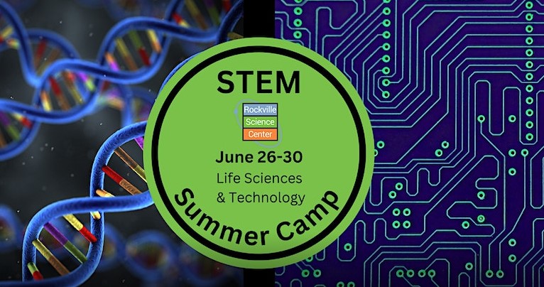 Science Summercamp