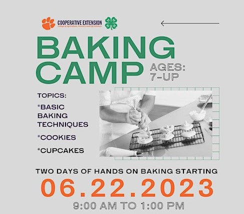 Baking Summercamp